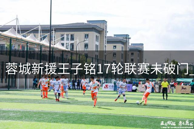 蓉城新援王子铭17轮联赛未破门 战术价值不应被进球荒掩盖
